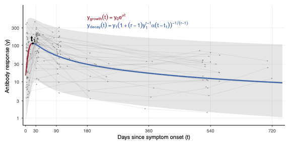 Modeled antibody response curve showing rise, peak, and decay over 720 days since symptom onset, with observed subject trajectories